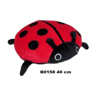 Biedronka 40cm