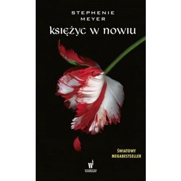 Księżyc w nowiu