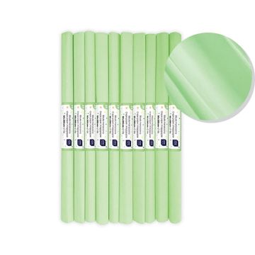 Bibuła marszczona nr 39 pistacjowy pastel (10szt)