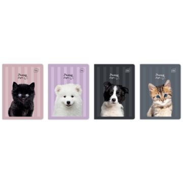 Zeszyt A5/32K 3kol linia 70g UV Puppy Sign (10szt)