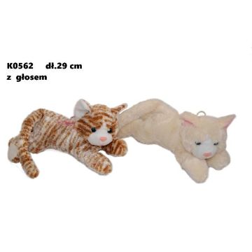 Kot glos 29cm MIX