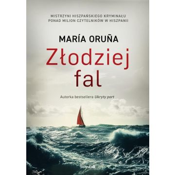 Złodziej fal