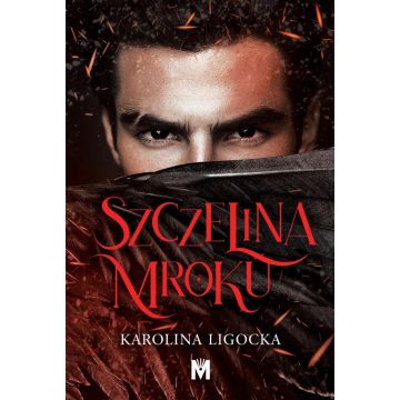 Szczelina mroku
