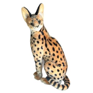 Serwal 49cm