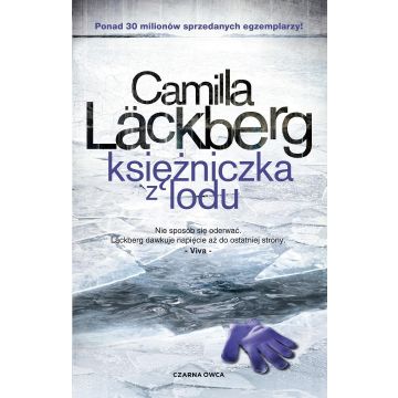 Saga o Fjllbace T.1 Księżniczka z lodu (w.5)