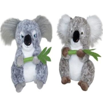 Koala 20cm MIX