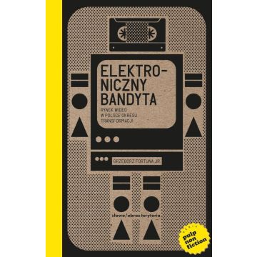Elektroniczny bandyta. Rynek wideo w Polsce...