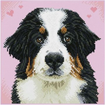 Diamond Dotz Adults - Say Hello to Zuzu
