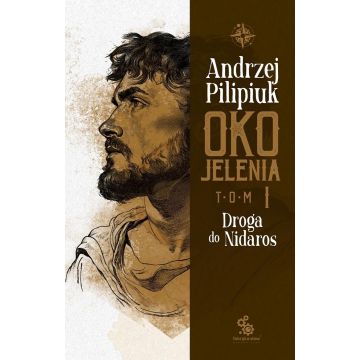 Oko Jelenia. Droga do Nidaros