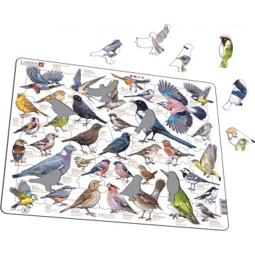 Układanka Garden Birds Ptaki ogrodowe polne Maxi