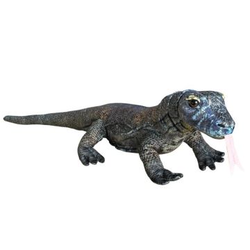 Waran z Komodo 70cm