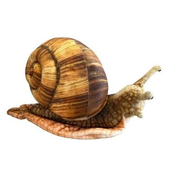 Ślimak 35cm