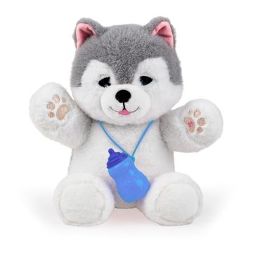 Piesek Husky