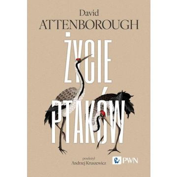 Życie ptaków