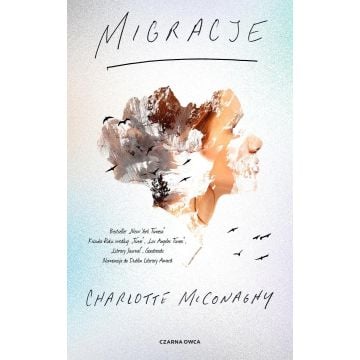 Migracje