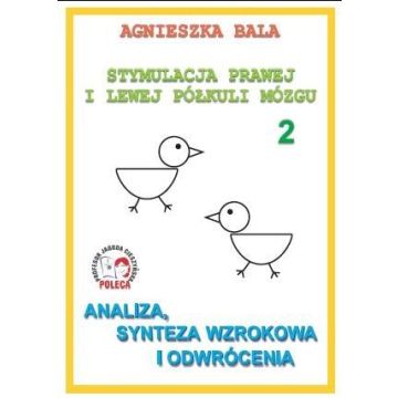 Stymulacja prawej i lewej półkuli 2 Analiza,synt.