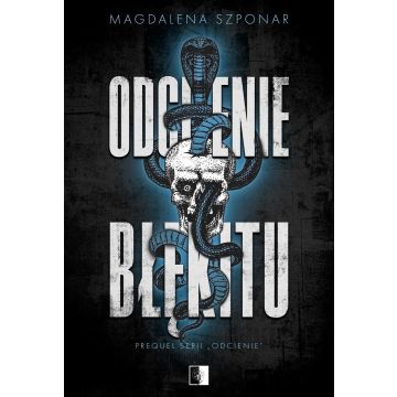 Odcienie błękitu