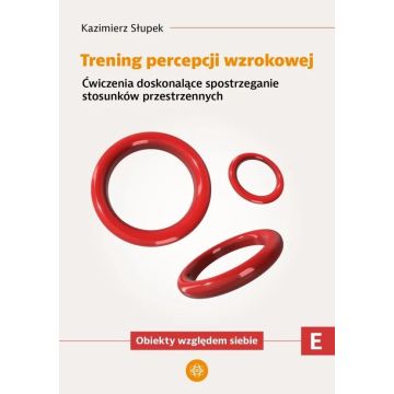 Trening percepcji wzrokowej. Część E Ćwiczenia