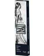 Węgiel naturalny rysunkowy 6-8mm 6szt ASTRA