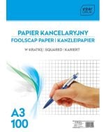 Papier kancelaryjny A3/100K kratka