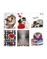 Okładka na legitymację szkolną z nadrukiem MIX