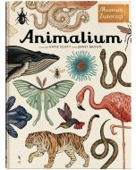Animalium wyd.3