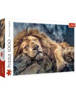 Puzzle 1000 Śpiący lew TREFL