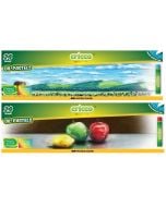 Pastele olejowe 24 kolory Cricco