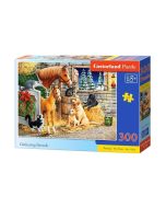 Puzzle 300 Gathering Friends CASTOR