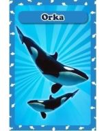 Karty Popup 3D - Zwierzęta morskie