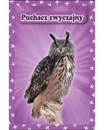 Karty Popup 3D - Ptaki