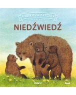 Dzikie zwierzęta w naturze. Niedźwiedź