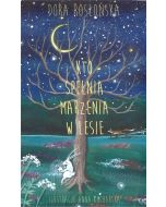 Kto spełnia marzenia w lesie