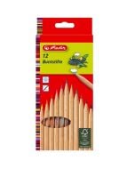 Kredki drewniane Natura 12 kolorów