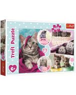Puzzle 160 Urocze kotki TREFL