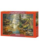 Puzzle 2000 Wspomnienie z jesiennego lasu CASTOR