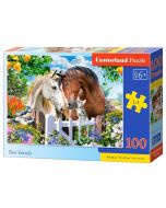 Puzzle 100 Best Friends CASTOR