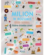 Milion w rozumie