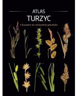 Atlas turzyc z kluczami do oznaczania gatunków