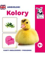 Kapitan Nauka Ang. Kolory. Karty obraz.+ poradnik