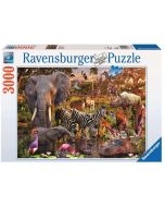 Puzzle 3000 Zwierzęta Afryki