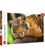 Puzzle 500 Portret tygrysa TREFL