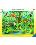 Puzzle 11 Co tu pasuje? Zwierzęta lasu deszczowego