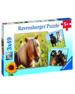 Puzzle 3x49 Konie