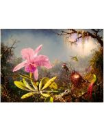 Puzzle 1000 Orchidea Cattleya i trzy kolibry