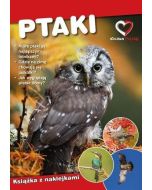 Ptaki. Ekoprzewodnik młodego odkrywcy