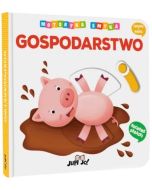 Motoryka Smyka. Gospodarstwo