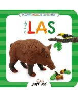 Plastelinkowa akademia. Co kryje las