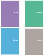 Kołozeszyt A6/80K kratka Genius mini 2 (4szt)