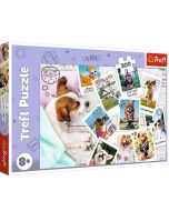 Puzzle 300 Zdjęcia z wakacji TREFL